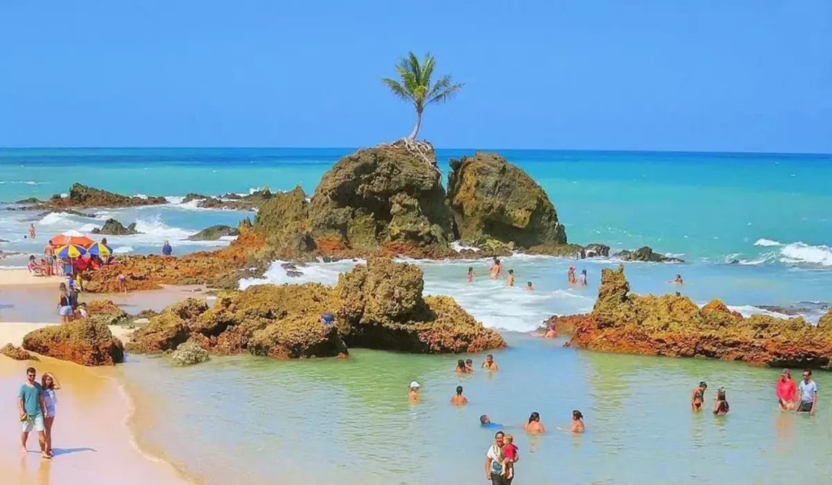 Conheça as melhores praias da Paraíba 3