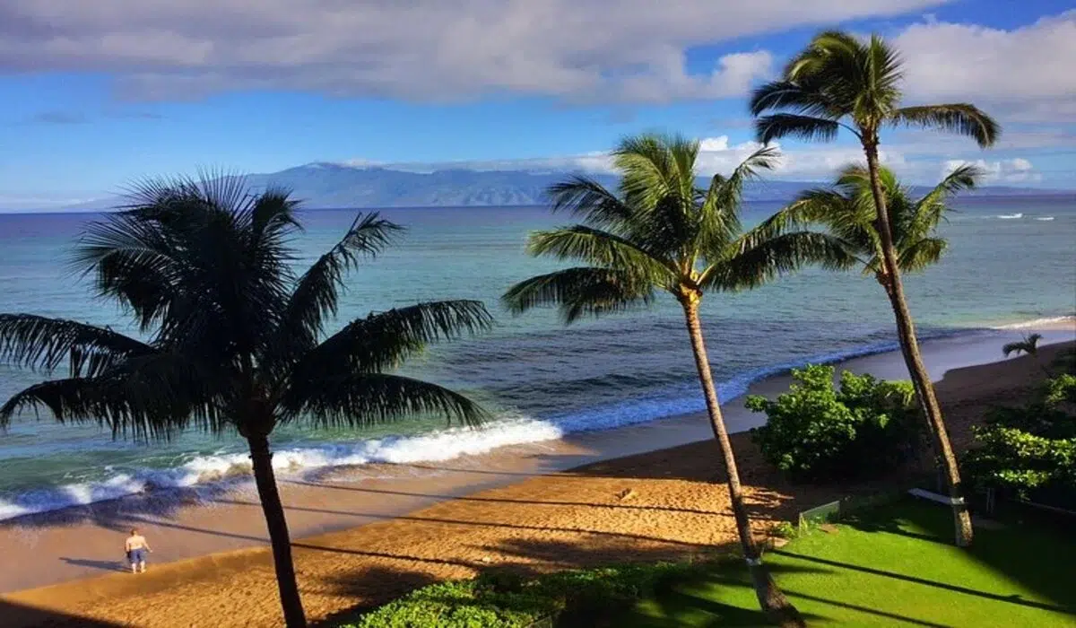 Descubra as maravilhas de Maui 1