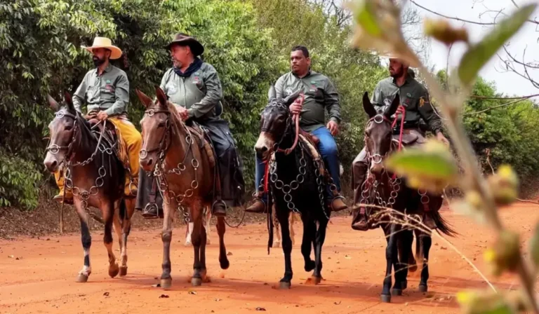 Turismo rural com cavalgadas no Paraná